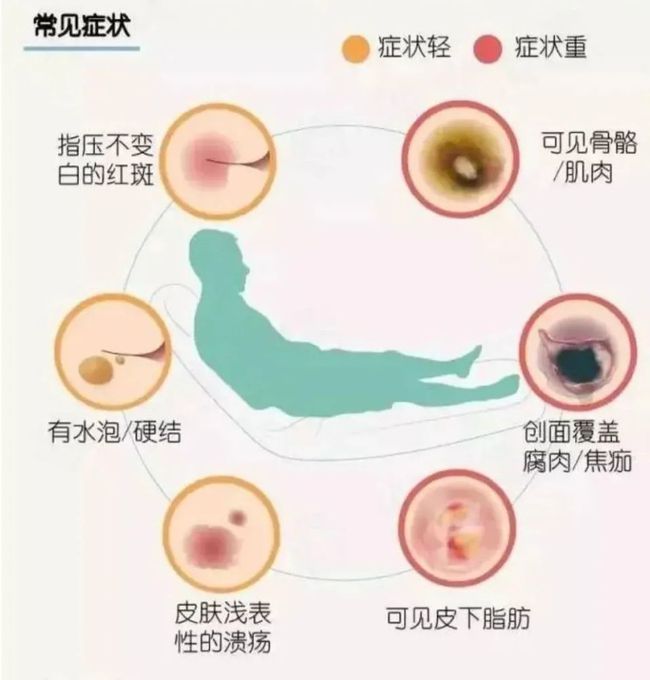 青少年宫 第101页