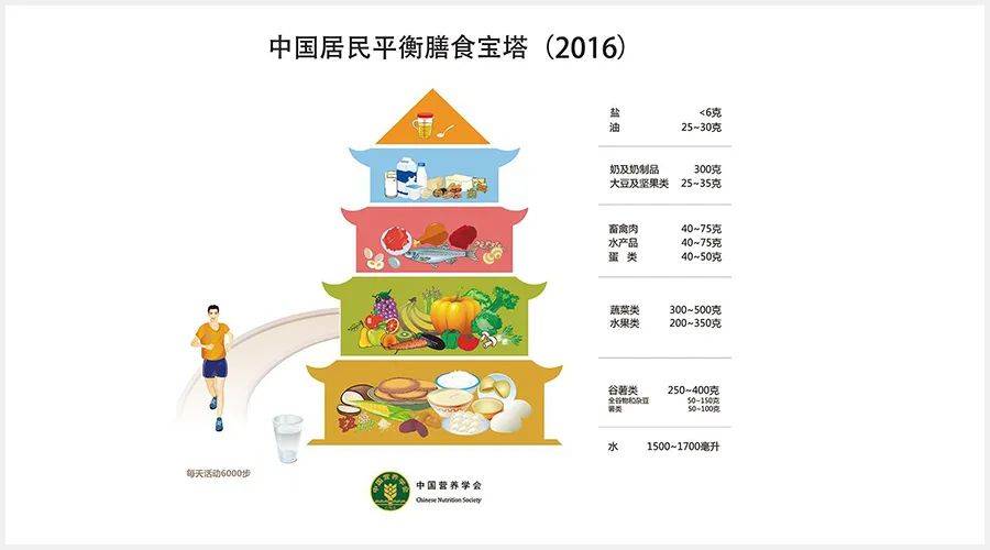 最新膳食宝塔，健康饮食的新指南与标准