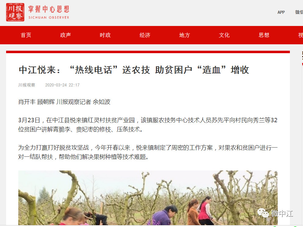 中江招聘网最新招聘信息及观点论述汇总