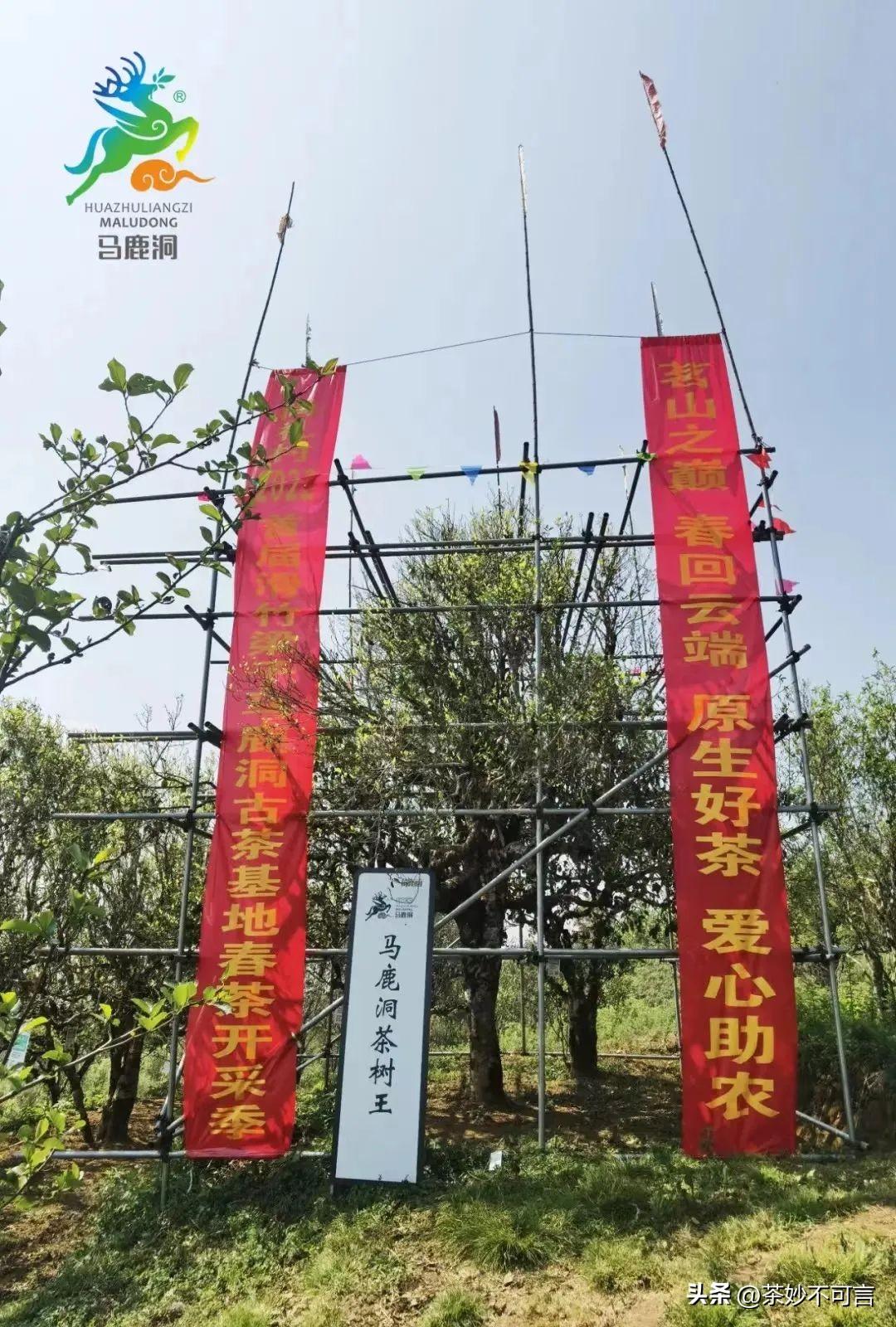 科技之巅，生活之翼，探索最新手机引领未来生活