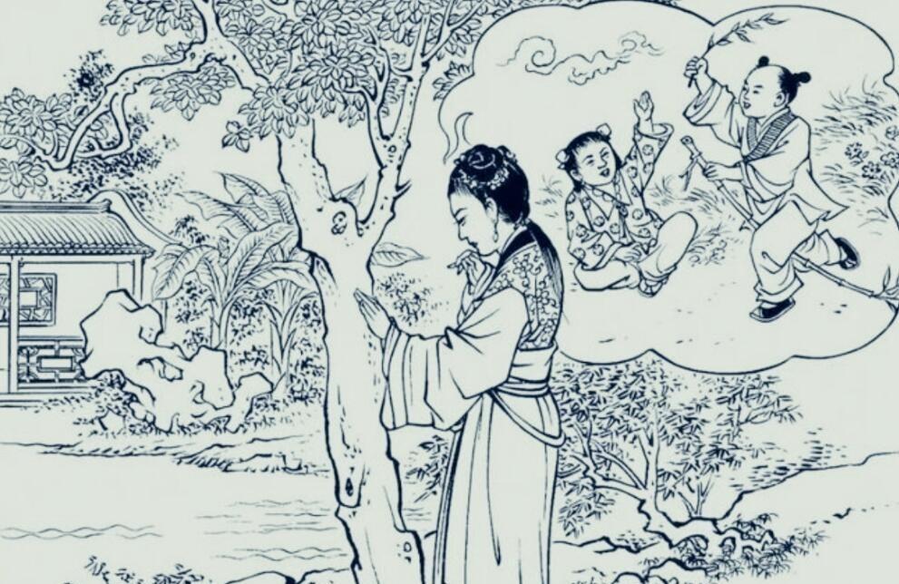 小四郎最新探险记，自然美景的心灵探寻之旅