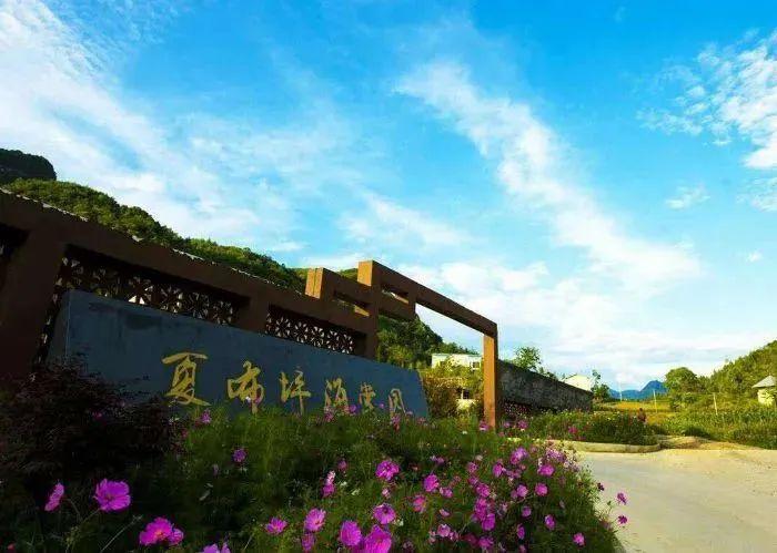 中兴最新款手机，与大自然共舞的奇妙旅程