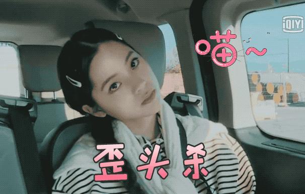 快播最新电影，自然美景的治愈之旅探索季