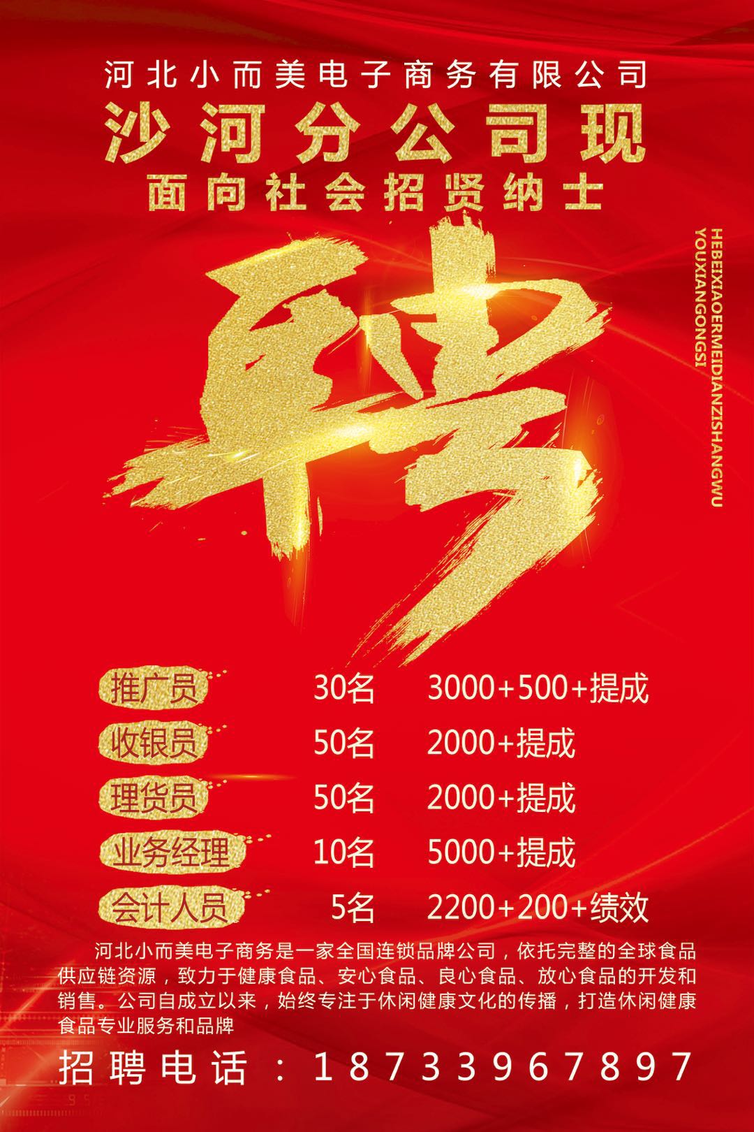 公司最新招聘揭秘，人才盛宴的奥秘探索