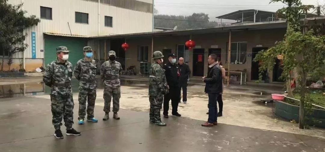 全球疫情下的自然之旅，寻求内心宁静与平和的旅程