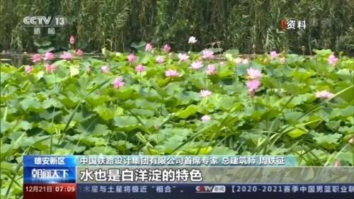 图书馆 第7页