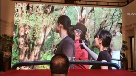 文化馆 第4页