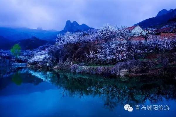 最新暴利行业排行榜，探索自然美景之旅，寻找内心平和的乐园