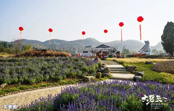 金鸿控股最新动态，自然美景的探索之旅启程。